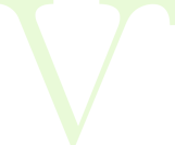 225.Symbol_-_Vitea_Life_Lysegrnn-PNG.162x.png